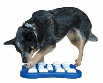 Quebra-cabeças para cães